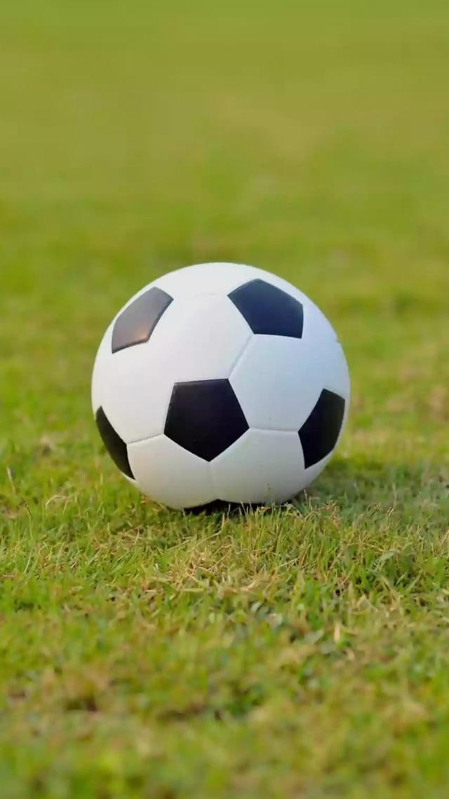 用户使用足彩胜负彩赛程平台场景